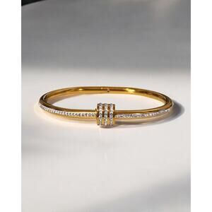 Luxurious Titanium Steel Bangle Bracelet